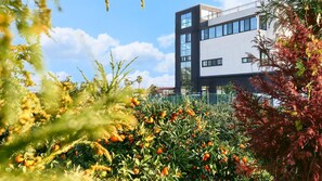 Exterior - Jeju DK House Pension (Seogwipo)