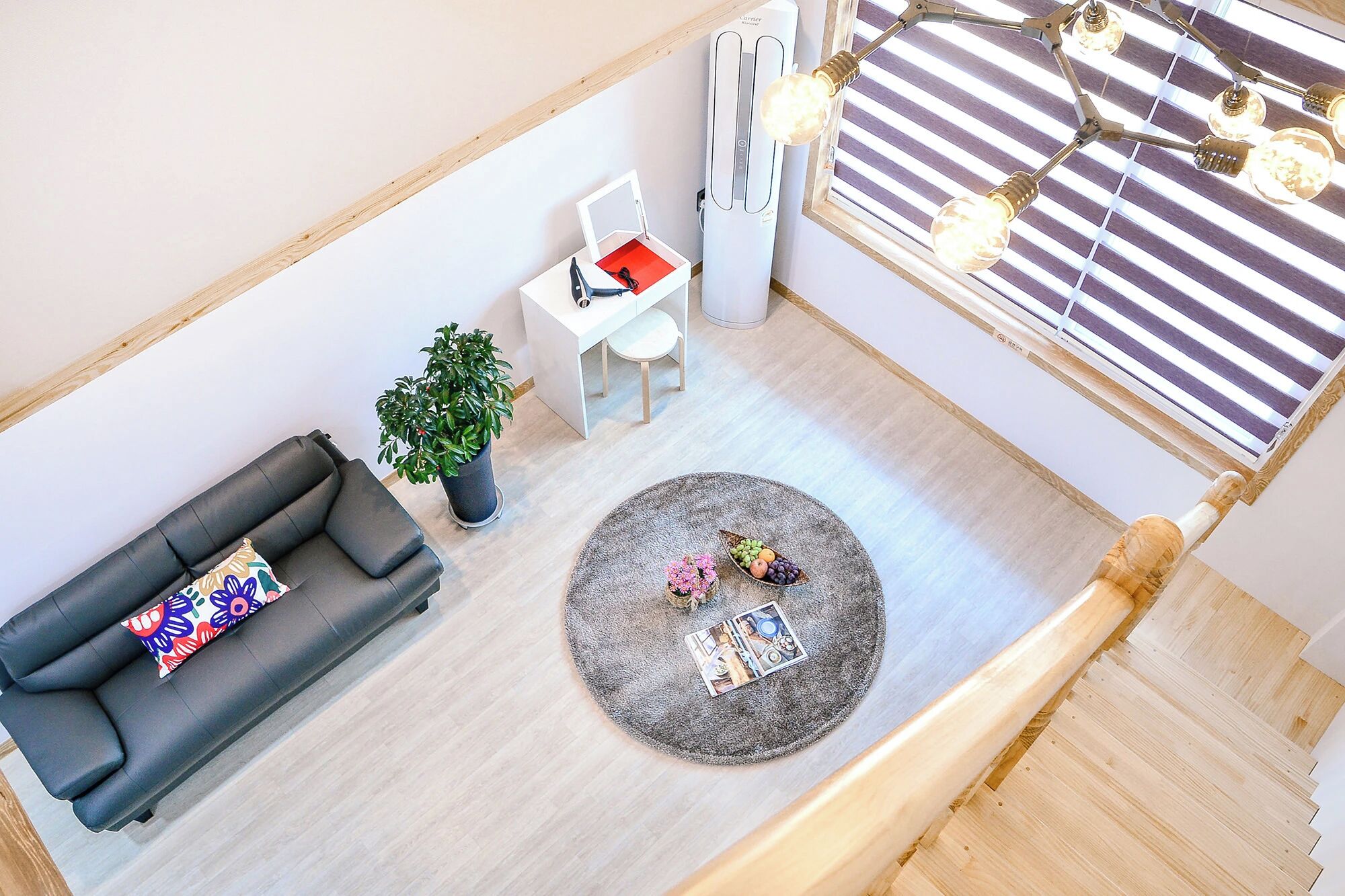 Un salon moderne avec un canapé, une petite table, une plante en pot, un tapis rond et une fenêtre avec des stores.