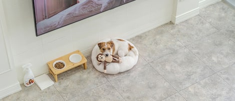 A dog resting on a pet bed with a bowl and a water bottle beside it.