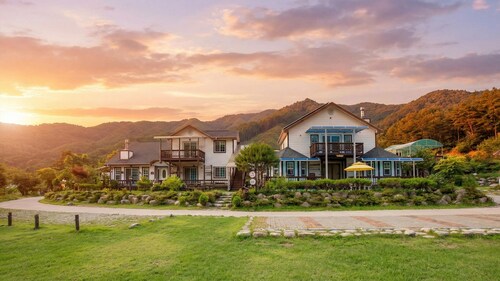 Hwacheon Parprika Yellow Pension