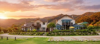 Hwacheon Parprika Yellow Pension