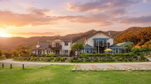 Hwacheon Parprika Yellow Pension