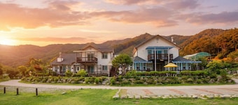 Hwacheon Parprika Yellow Pension