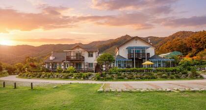 Hwacheon Parprika Yellow Pension