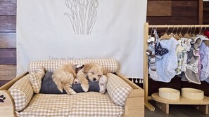 Una habitación acogedora con un sofá estampado, una cama para perro de madera y un perchero con diferentes prendas.