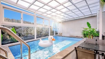 Ein Hallenbad mit einer Schwimmenten, einer Steinwand im Hintergrund und einer Glaskuppel.