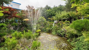 Un jardín con una fuente de agua, rocas y diversas plantas.