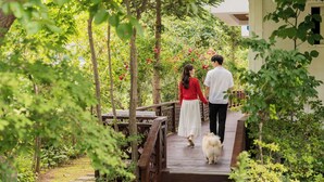 A wooden bridge in a lush garden with a dog walking on it.