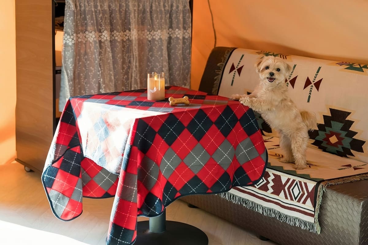 Kamar Basic, 1 kamar tidur (Glamping No.2 (Pet-friendly)) | Eksterior