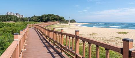 A wooden boardwalk leading to a beach with a clear view of the ocean and distant buildings.