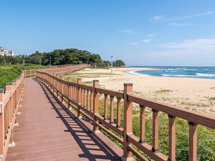 A wooden boardwalk leading to a beach with a clear view of the ocean and distant buildings.