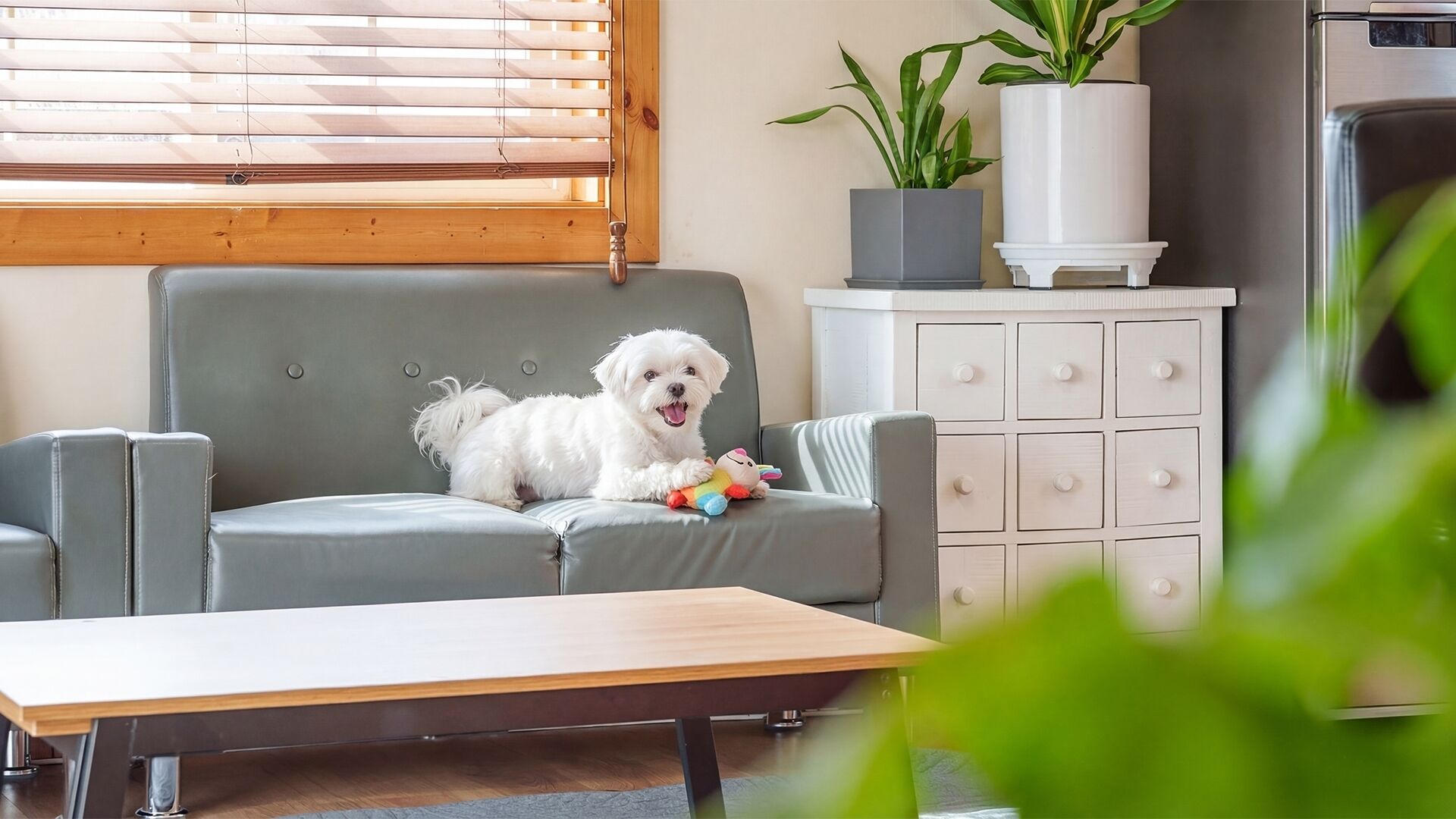 Basic-Zimmer, 1 Schlafzimmer (Lavender ( F2 / Spa /1 Dog Stay Free)) | 1 Schlafzimmer, kostenloses WLAN