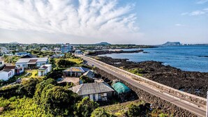 Une route côtière bordée de maisons, offrant une vue dégagée sur la mer.