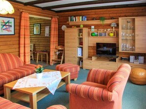 تلفزيون، مشغل دي في دي