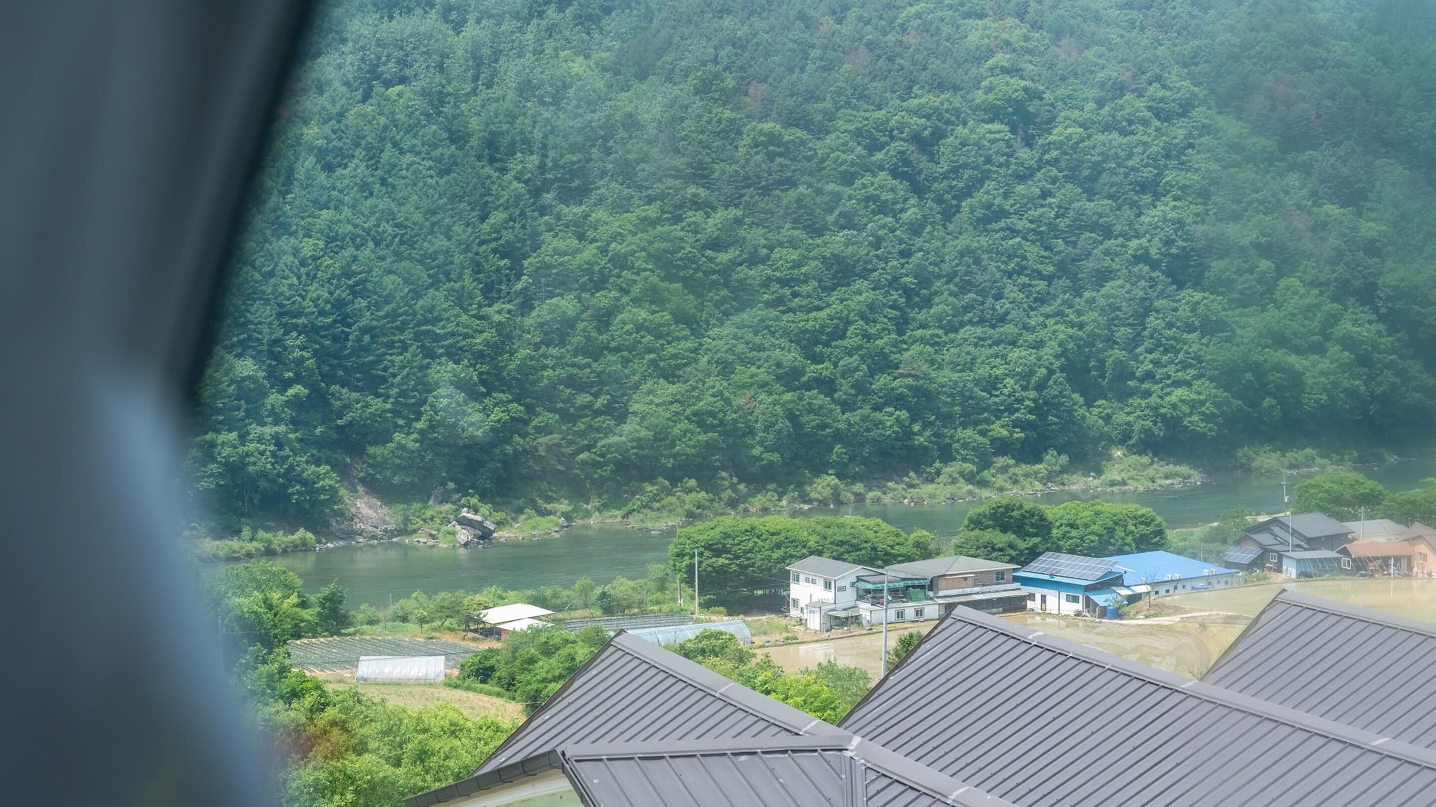 A view of a river with dense forest on one side and a cluster of buildings with flat roofs.