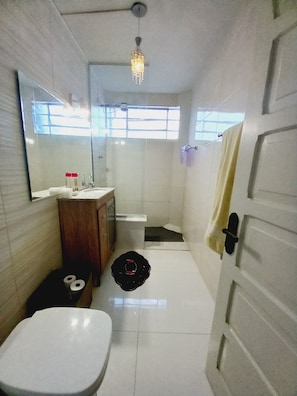 Shower, towels, soap, toilet paper