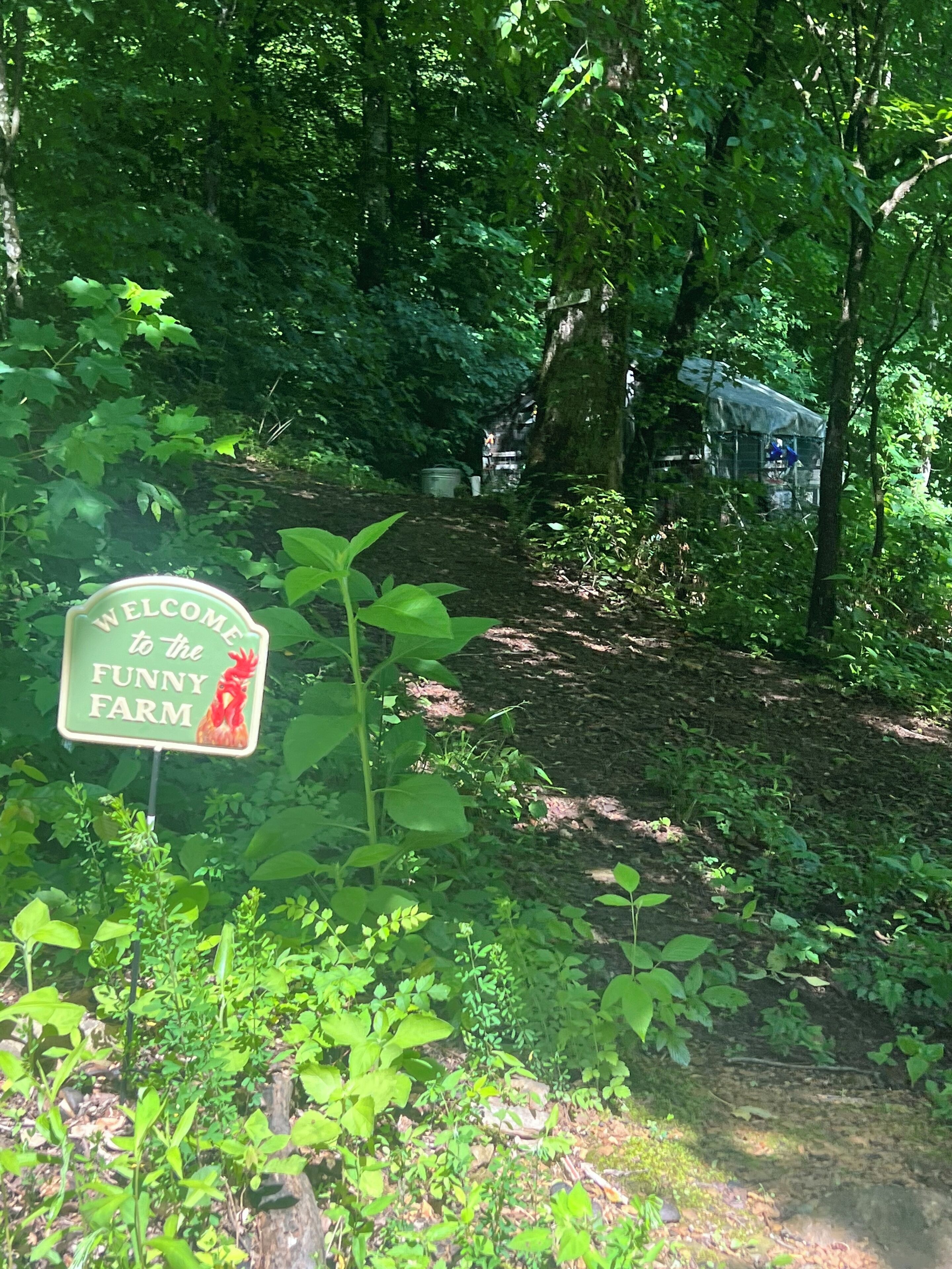 A welcome sign to the Funny Farm surrounded by lush greenery and a dirt path.