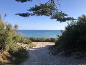 On the beach - Maison Beg-meil 250m de la Plage de Kerambigorn Wifi Vélos Fournis (Fouesnant)