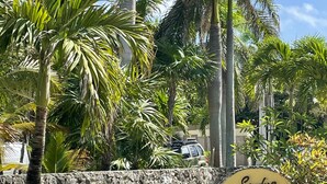 A stone wall with a sign reading "Sandy's Villa" surrounded by lush greenery and palm trees. - Beautiful 2 Bdrs Villa with Pool,Private Beach,Wi-Fi, Kayaks, Manager, Chef . (Playa del Carmen)