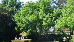A wooden picnic table with a bottle and glasses, surrounded by lush greenery and a large potted plant with flowers. - Idan House (Llanfairpwllgwyngyll)