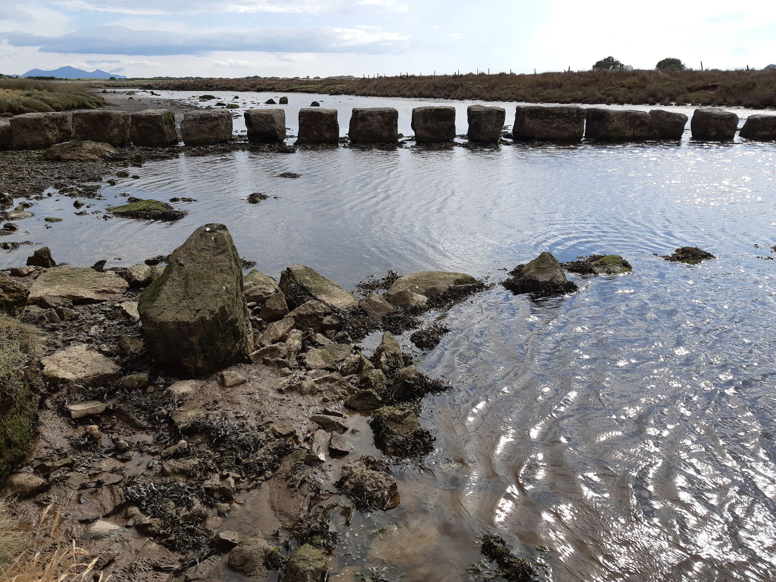 A rocky shoreline with a calm body of water, surrounded by natural landscape and distant mountains.