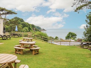 Property grounds - Ochenta (Ilfracombe)