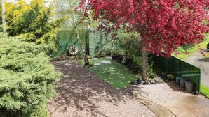 A garden with a gravel path, green hedges, and a tree with red flowers. - The Mill Wheel (Ashbourne)