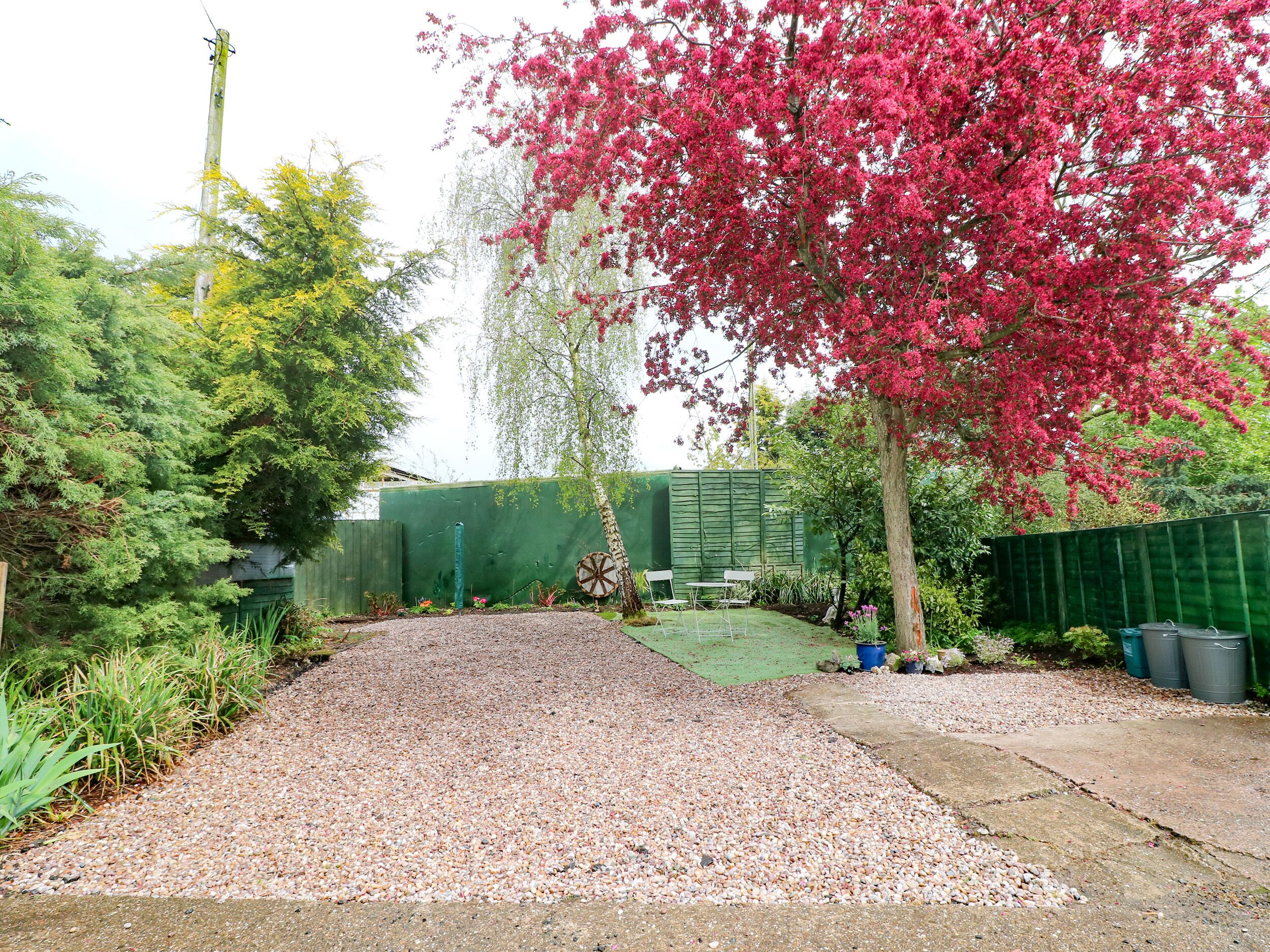A gravel driveway leading to a green lawn area with a tree with pink flowers, a fence, and some potted plants.