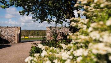 Cottage | Property grounds
