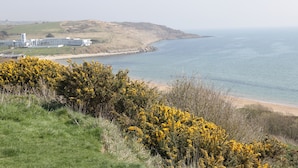 Un paysage côtier comprenant un ensemble de bâtiments, une plage et des arbustes aux fleurs jaunes.