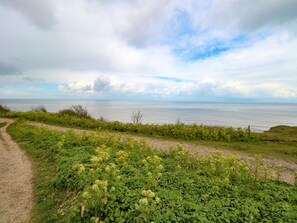 A coastal path with dense greenery and a view of the sea under a cloudy sky. - Chalet 126a (Cromer)