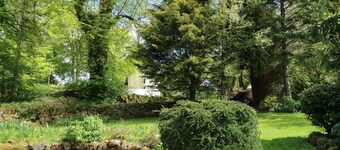 Upper Brackendale