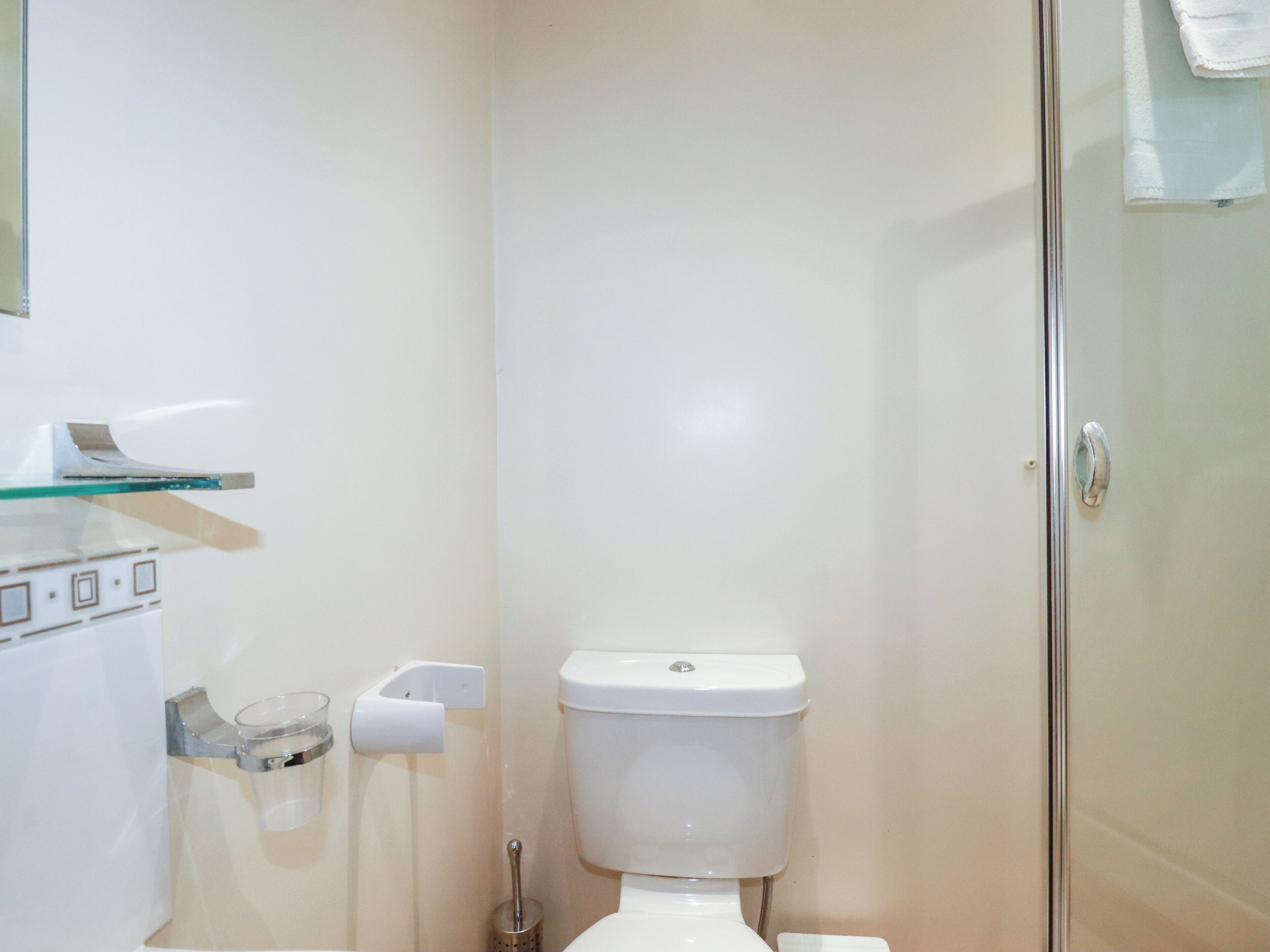 A small, clean bathroom with a toilet, a glass shower enclosure, and a towel rack.