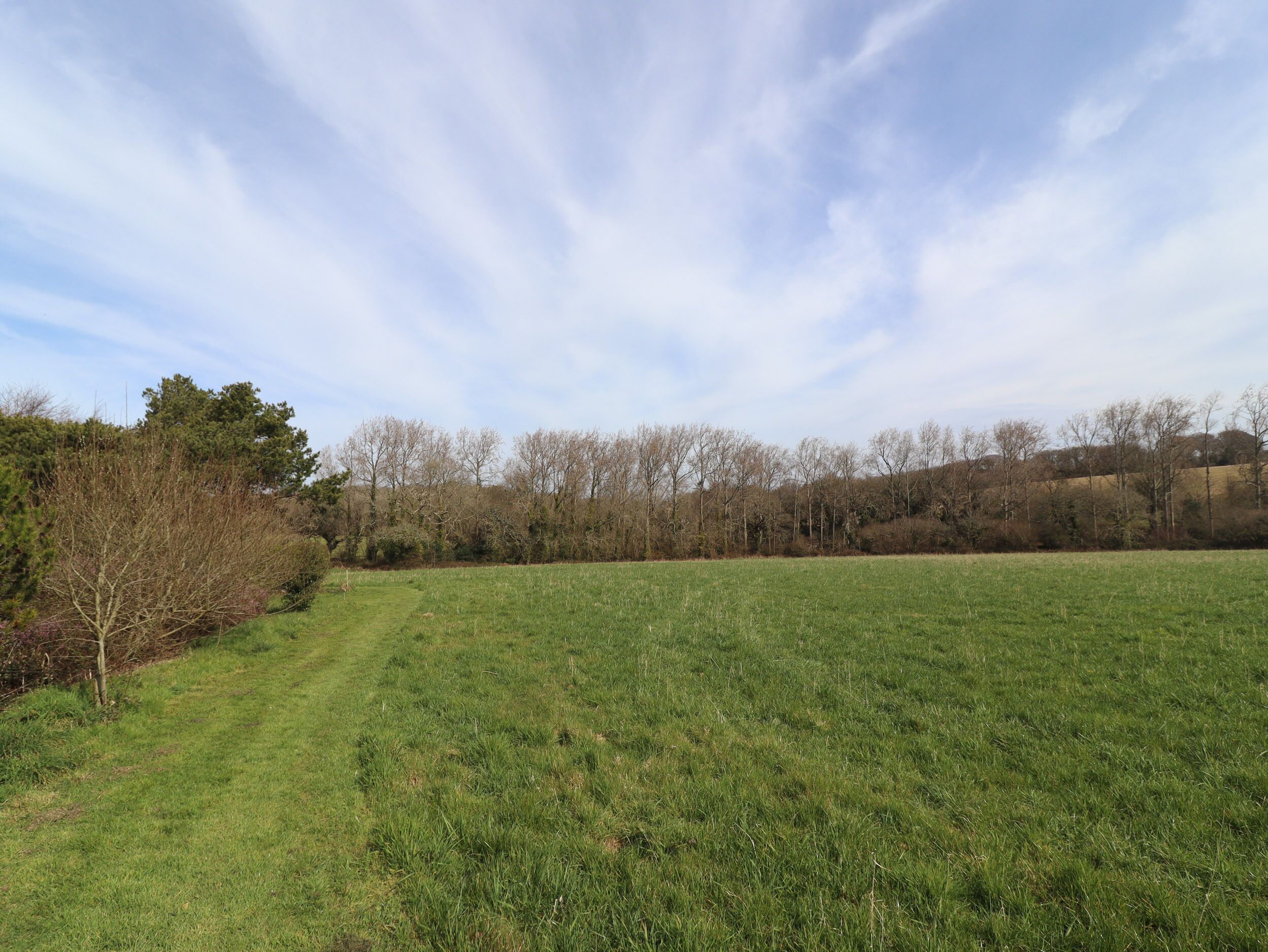A grassy field with trees in the background.