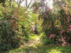 Um caminho no jardim ladeado por vegetação exuberante e flores rosa.