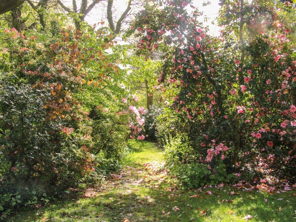 Cottage | Interior - The Garden Lodge (Bridgnorth)