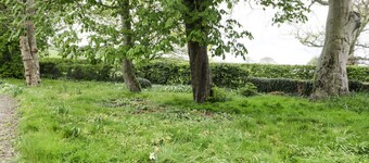 Chestnut Cottage