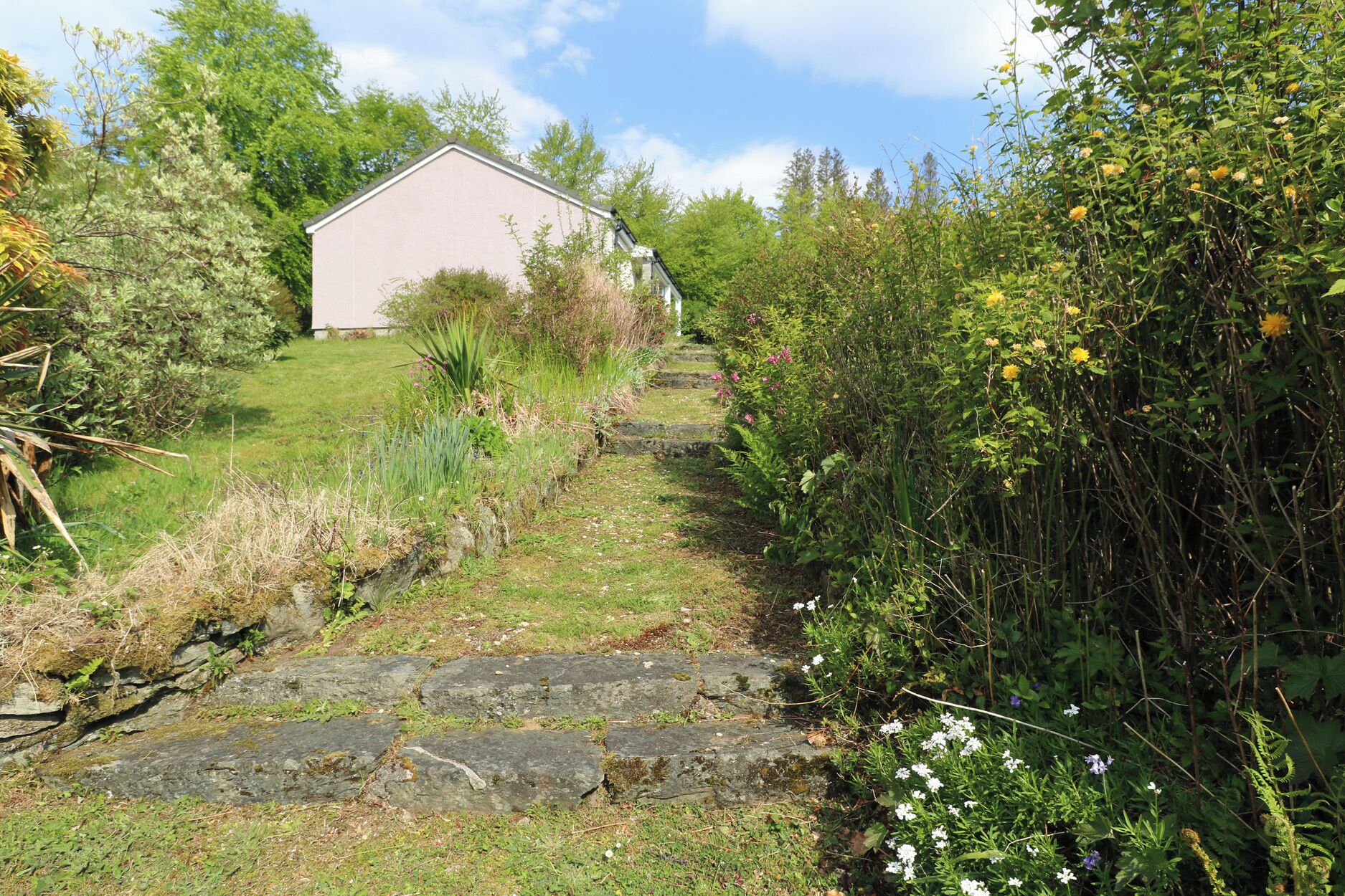 Un sendero de piedra que conduce a un edificio rodeado de abundante vegetación y flores silvestres.