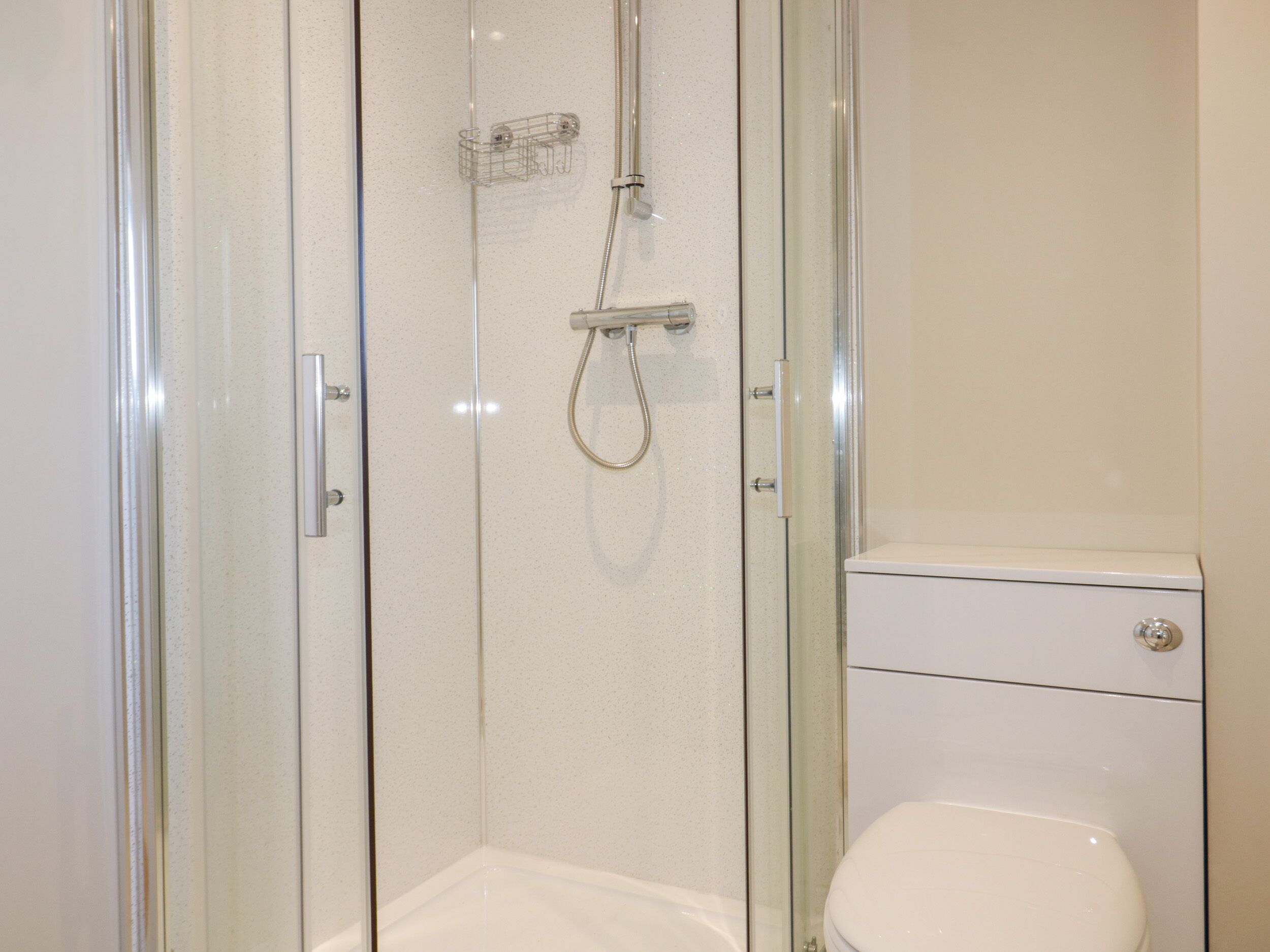 Une douche en verre avec un pommeau de douche à main et des toilettes visibles sur la droite.