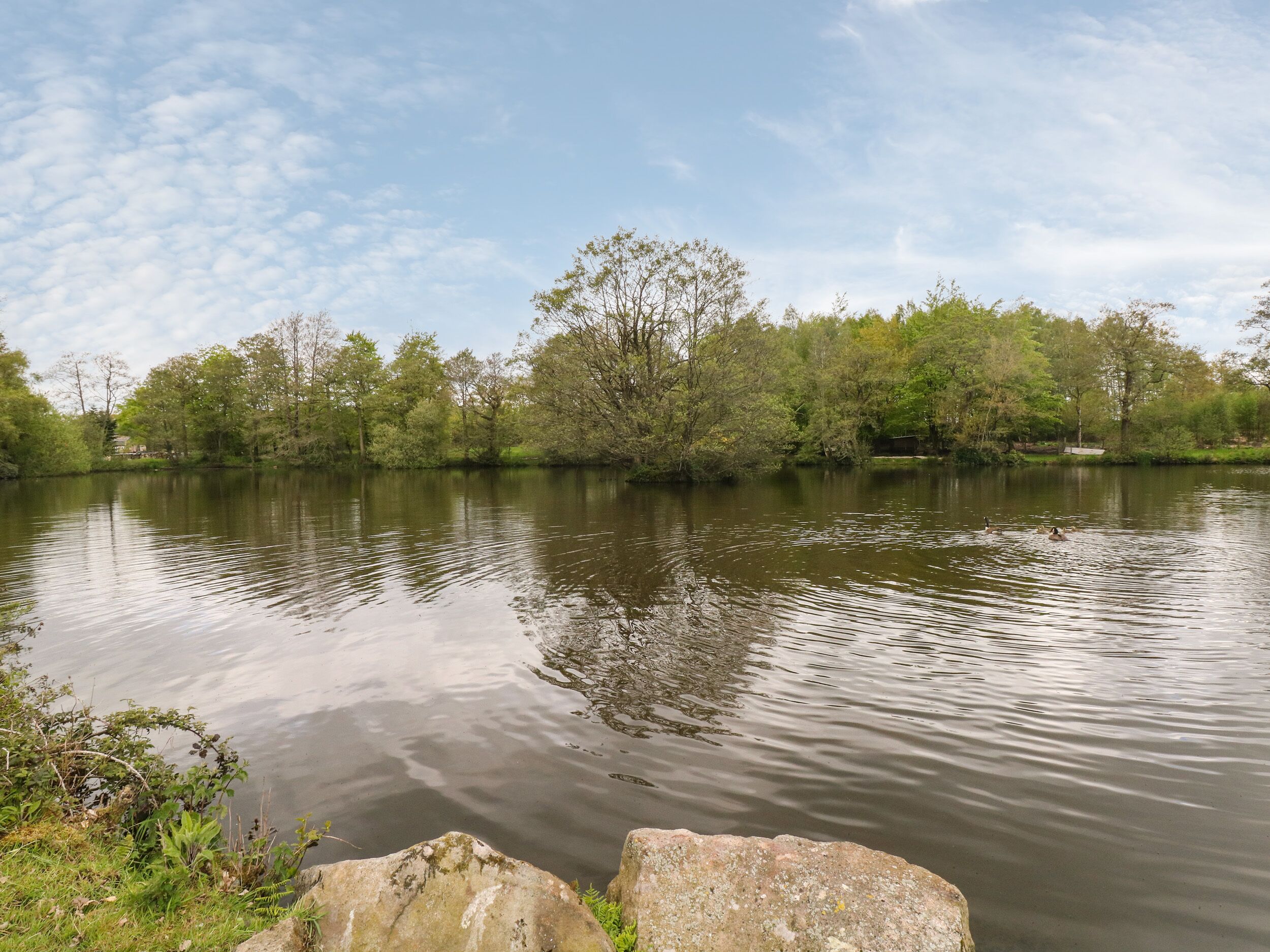 Een rustige rivier met bomen en rotsen langs de oevers.
