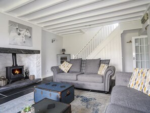 平房 | 起居區 | 電視