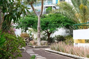 A garden pathway with various plants and a white building in the background.