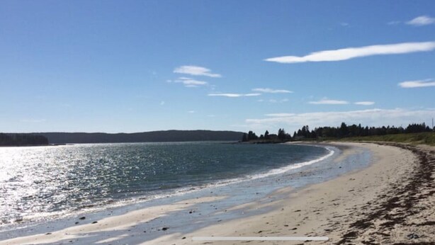Une plage avec un rivage sablonneux et une eau calme.
