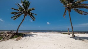 A beach with two palm trees and a clear blue sky. - Beach and Oceanfront apartment Casa Mar Y Sol (San Pedro)