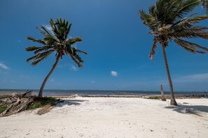 Une plage avec deux palmiers et un ciel bleu clair.