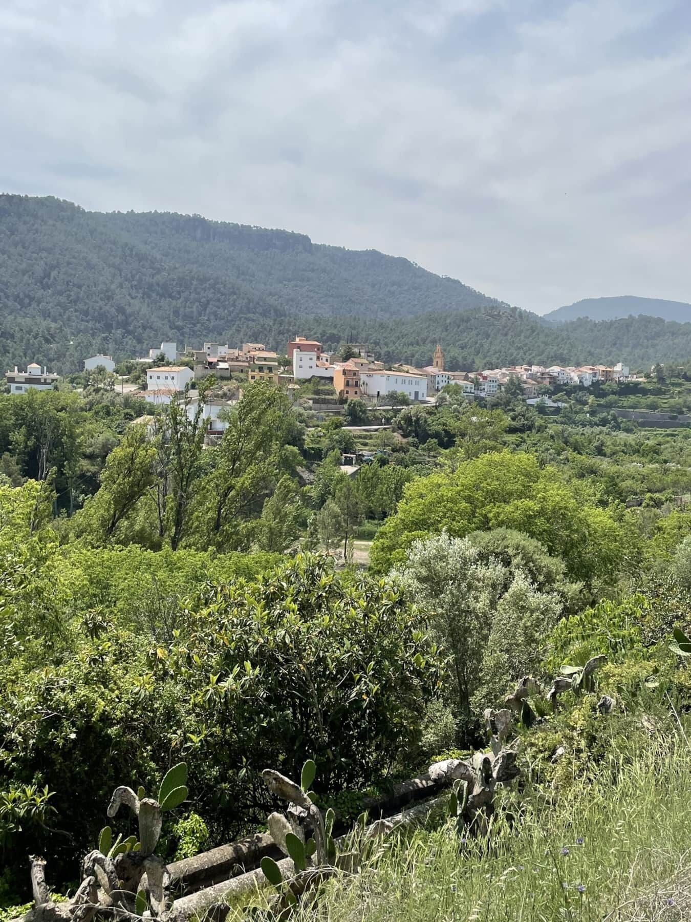 Holiday Apartment in Cirat REF. 050