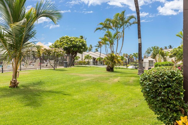 A well-maintained grassy area with palm trees and a fenced playground. - Comfortable Ground Floor Condo - Steps to Pool & BBQ area - Sleeps 4! (Kihei)