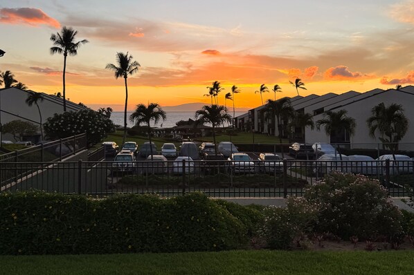 A parking lot with several cars, surrounded by greenery and palm trees, with a view of the ocean and a sunset in the background.