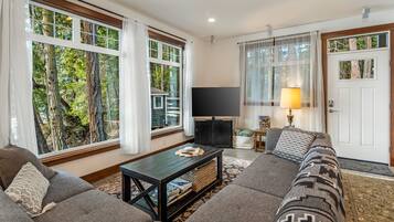 Smart-TV, DVD-Player, BĂŒcher, Stereoanlage