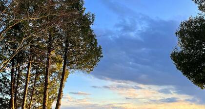 Starflower Cottage- Vintage Charm on the Lake